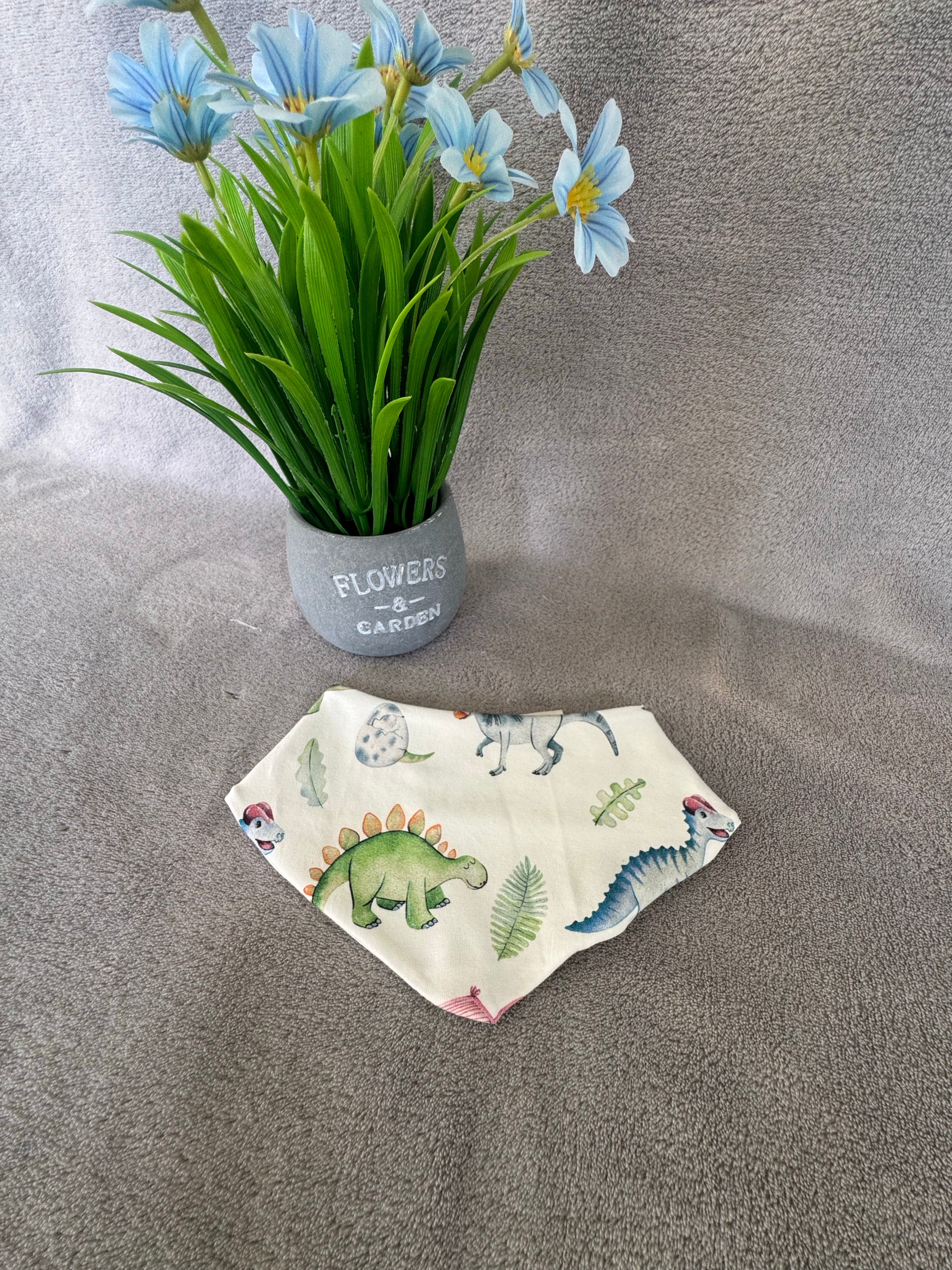 Baby Set DINO  Größe 56/62