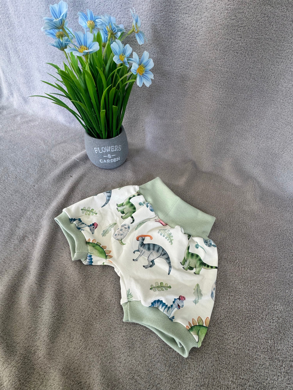 Baby Set DINO  Größe 56/62